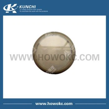 Lampa drzwiowa Sinotruk HOWO LED WG9925720025